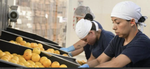 Casa de la Mujer | Panorama: más del 60% del trabajo de las mujeres en ...